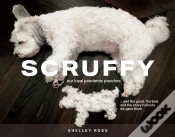 Capa do artigo Scruffy