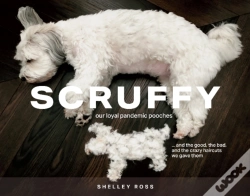 Capa do artigo Scruffy