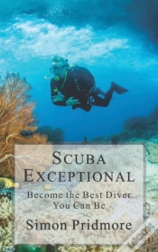 Capa do artigo Scuba Exceptional