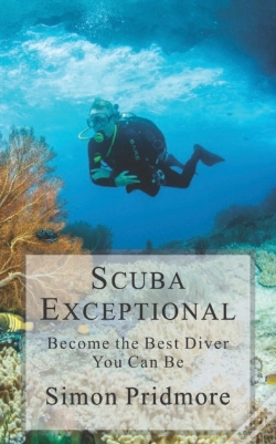Capa do artigo Scuba Exceptional