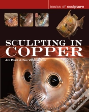 Capa do artigo Sculpting In Copper