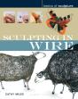 Sculpting In Wire - Preview