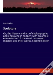 Capa do artigo Sculptura