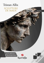 Capa do artigo Sculpture De Maux