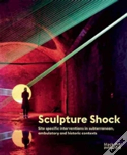 Capa do artigo Sculpture Shock