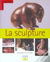 Capa do artigo Sculpture