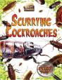 Scurrying Cockroaches - Preview