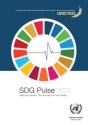 Sdg Pulse 2020 - Preview