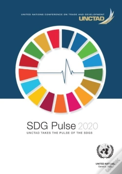 Capa do artigo Sdg Pulse 2020