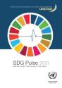 Sdg Pulse 2021 - Preview