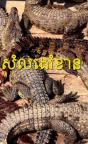 SE Asian Noise(s) - Cassete - Preview