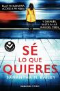 Se Lo Que Quieres - Preview