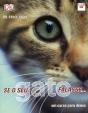 Se o seu Gato Falasse - Preview