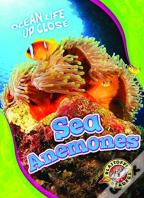 Sea Anemones
