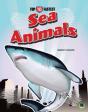 Sea Animals - Preview