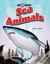Sea Animals