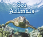 Sea Animals - Preview