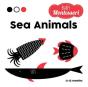 Sea Animals - Preview
