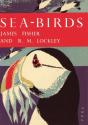 Sea-Birds - Preview