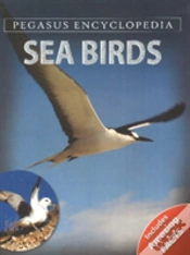 Capa do artigo Sea Birdssea World