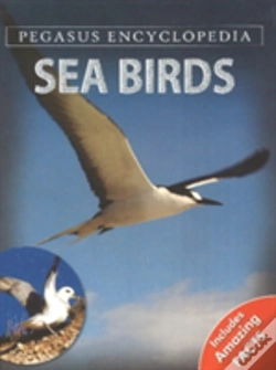 Capa do artigo Sea Birdssea World