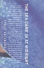 Sea Came In At Midnight - Preview