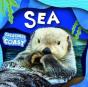 Sea - Preview