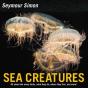 Sea Creatures - Preview