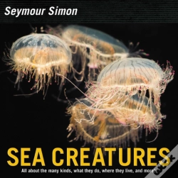Capa do artigo Sea Creatures