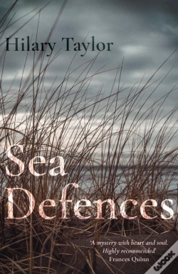 Capa do artigo Sea Defences