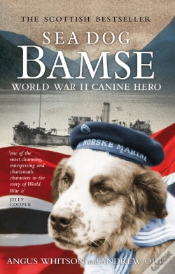 Capa do artigo Sea Dog Bamse