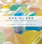 Capa do artigo Sea Glass