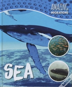 Capa do artigo Sea