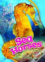 Sea Horses
