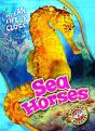 Sea Horses - Preview
