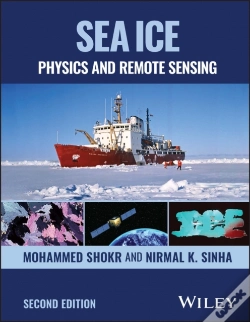Capa do artigo Sea Ice
