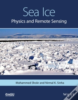 Capa do artigo Sea Ice