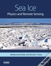 Capa do artigo Sea Ice