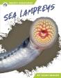 Sea Lampreys - Preview