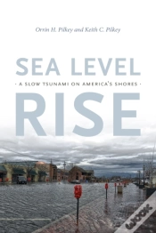 Capa do artigo Sea Level Rise
