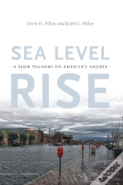 Capa do artigo Sea Level Rise