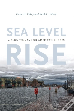 Capa do artigo Sea Level Rise