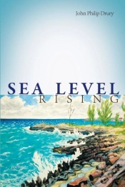 Capa do artigo Sea Level Rising