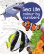 Sea Life Colour By Numbers - Preview