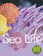 Sea Life - Preview