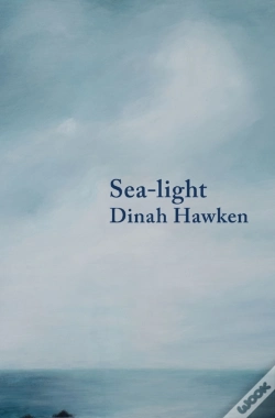 Capa do artigo Sea-Light