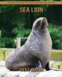 Sea Lion - Preview