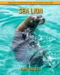 Sea Lion - Preview