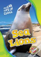 Sea Lions