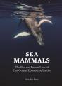 Sea Mammals - Preview